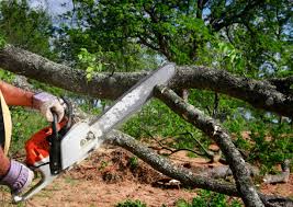 Best Lawn Irrigation Installation and Maintenance  in Columbus, NM