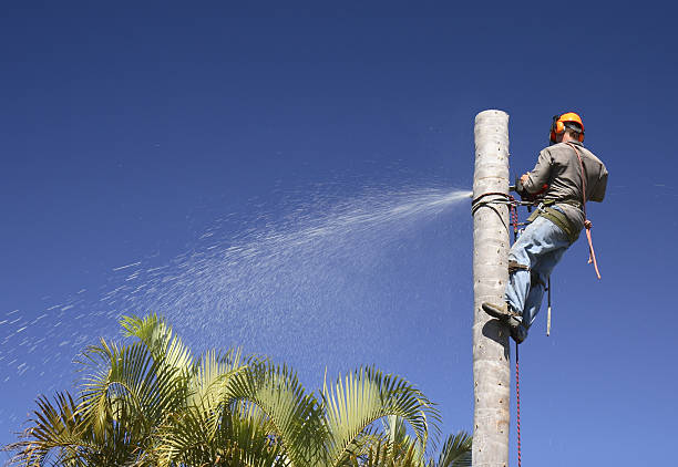 Lawn Irrigation Installation and Maintenance in Columbus, NM